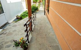 Magic Garden by Vlăduț