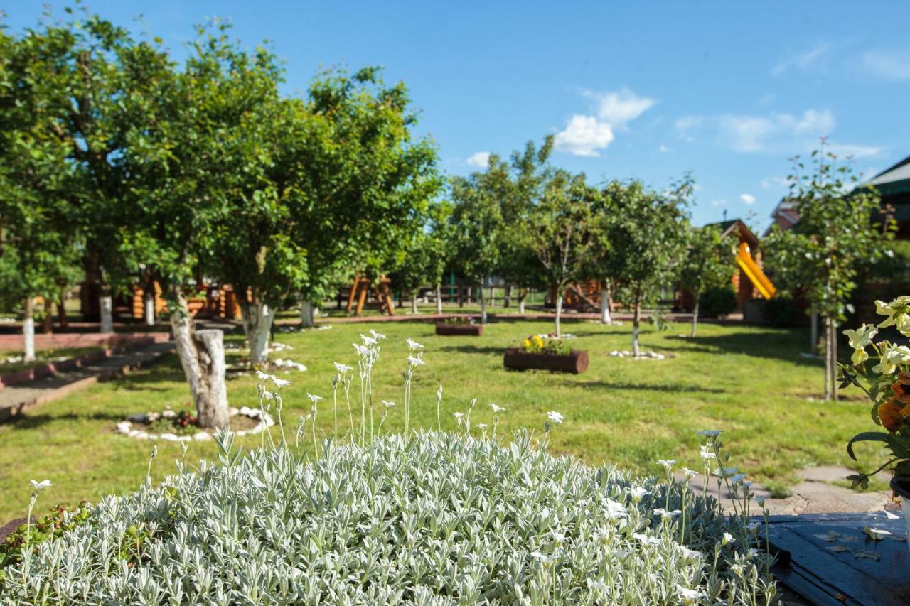Magic Garden by Vlăduț Hotel Bacău Exterior foto