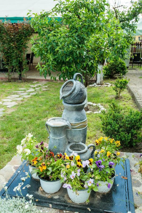 Magic Garden by Vlăduț Hotel Bacău Exterior foto